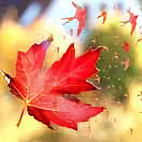 霜之哀伤931头像