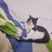 春风438的个人资料头像