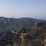 oy水果头像