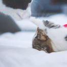 灰尘同志的个人资料头像