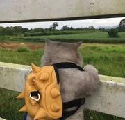 南山111的个人资料头像