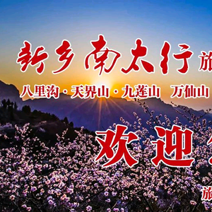 阿斌视点头像