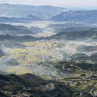 考证学习课代表头像