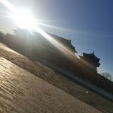 LXZ152头像
