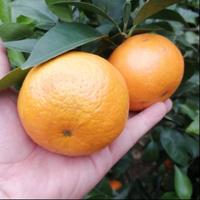 用户3250775371029头像