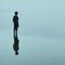 用户3617444173387头像