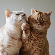 AkaKinPoppinD的个人资料头像