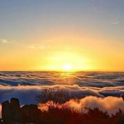 知足人长乐的个人资料头像