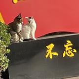 用户5504683541293头像