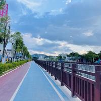 阿丘丘比可可头像