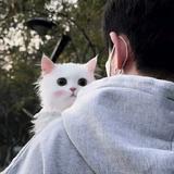 用户3139822807745头像