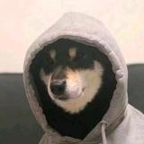 生来迷人头像