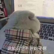 Angler的个人资料头像