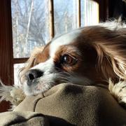 周凡813的个人资料头像