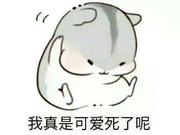 用户8305272887497的个人资料头像