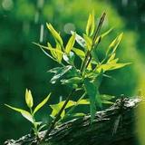 用户8363352054117头像