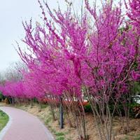 自由的漂流瓶An头像