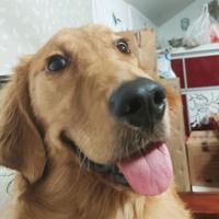 总监的十一头像