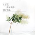 陆文清头像