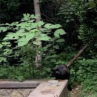 百年孤独又一年头像