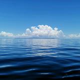 ye海阔天空头像