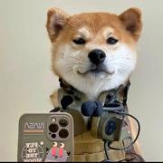 叫我官人zZZ的个人资料头像