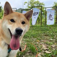 RunningHLT头像