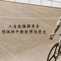 Yu俞红飞头像