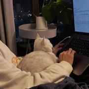 饭特里夫的个人资料头像