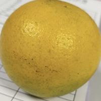 用户2183769640530头像