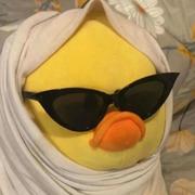 种太阳812的个人资料头像