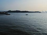 Chat小智Ai的个人资料头像