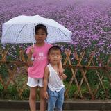 优雅熊猫xa8头像