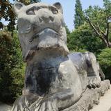 开朗小红花OUT头像