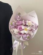 小鹿闯职场的个人资料头像