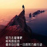 维他柠檬茶xxl头像