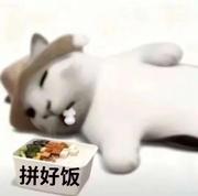 吃拼好饭吃中毒的个人资料头像