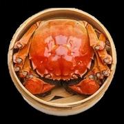 angus315的个人资料头像