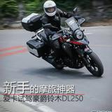 像风一样自由3423头像