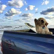 CountingStars655的个人资料头像