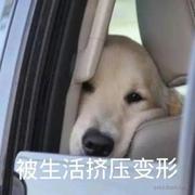 小江o的个人资料头像