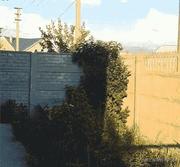 一杯茶一包烟慢慢摸鱼混一天的个人资料头像