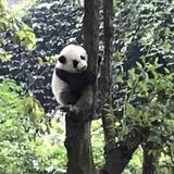 电影搬运工池子头像
