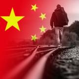 大鱼只身一人头像