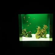 一昂杨_的个人资料头像