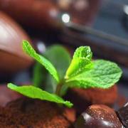 小邦285的个人资料头像