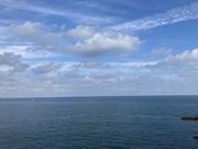 yangyanghou的个人资料头像