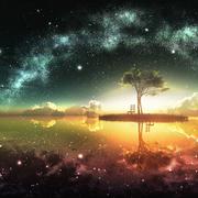 Lavie768的个人资料头像