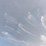用户1991411997969头像