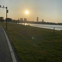 乘风破浪song头像